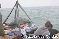 Tartaruga resgatada na Nazaré já foi devolvida ao mar