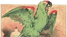 Uma questão de aviário ou a passarada de Rafael