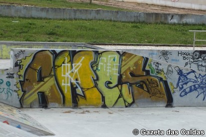 skateparque