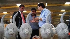 Bordallo Pinheiro dos dias de hoje é “um exemplo”, diz Feliciano Barreiras Duarte