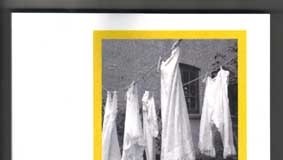 Um Livro Por Semana 269