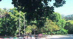 Centro Hospitalar propõe que gestão do Parque e da Mata seja entregue à Câmara Municipal