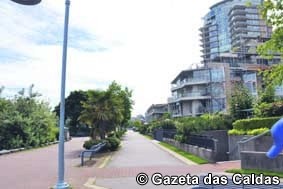 Fernando Costa impede zona verde e plantação de árvores em ruas da cidade