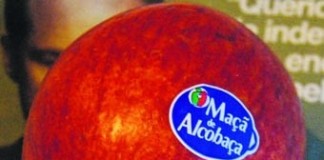 Lidl lidera vendas de Maçã de Alcobaça