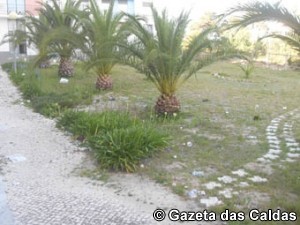 VLUU L210 / Samsung L210