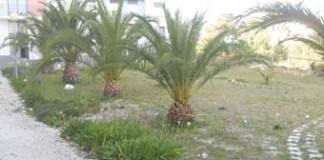 Um espaço público num estado deplorável