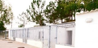 Abate de cães no canil municipal levantou polémica em Óbidos