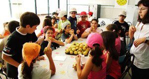 Fruta para lanches de 500 crianças no Cadaval