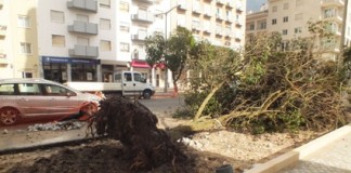 Bombeiros das Caldas em centenas de ocorrências durante o fim-de-semana