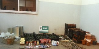 Estrangeira detida em Óbidos por suspeitas de tráfico de droga