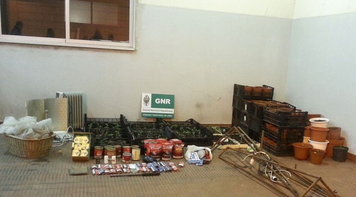 Estrangeira detida em Óbidos por suspeitas de tráfico de droga