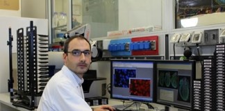 Cientista caldense dá cartas na regeneração celular em Itália Notícias das Caldas