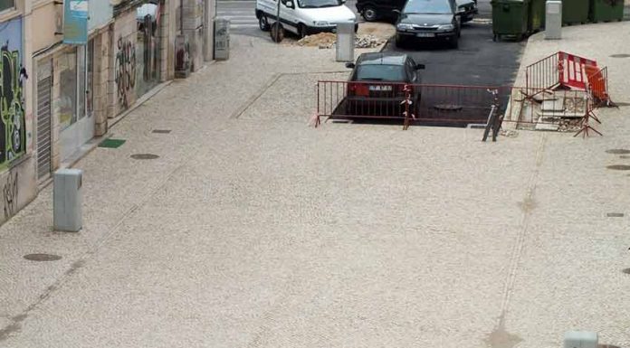 Seis papeleiras numa rua de 500 metros