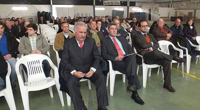 PSD unido na candidatura de Tinta Ferreira à Câmara