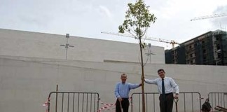 Câmara das Caldas plantou 100 árvores na cidade e arredores Notícias das Caldas