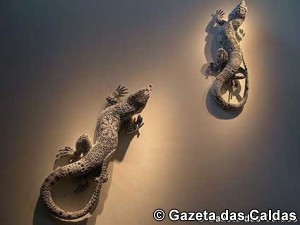 Fd1-SardoesBordalo Notícias das Caldas