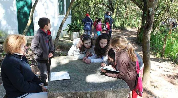Animação na Semana da Floresta no Bombarral