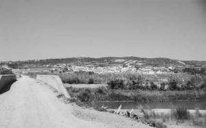 54 Notícias das Caldas