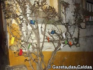 Notícias das Caldas