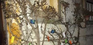 Poemas nas ruas de Óbidos Notícias das Caldas