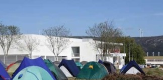 Escuteiros do Oeste reuniram-se na Benedita Notícias das Caldas