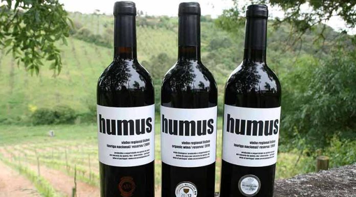 Vinho biológico de Alvorninha ganha medalha de ouro em concurso internacional