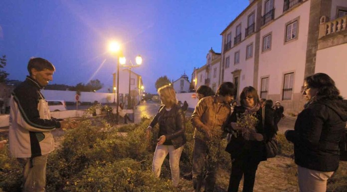 Mais de 200 actores juntam-se em A-dos-Negros para espectáculo comunitário Notícias das Caldas