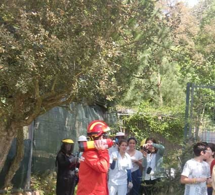 EBI de Sto Onofre promove segurança no trabalho Notícias das Caldas