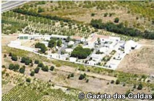 bombarral Notícias das Caldas