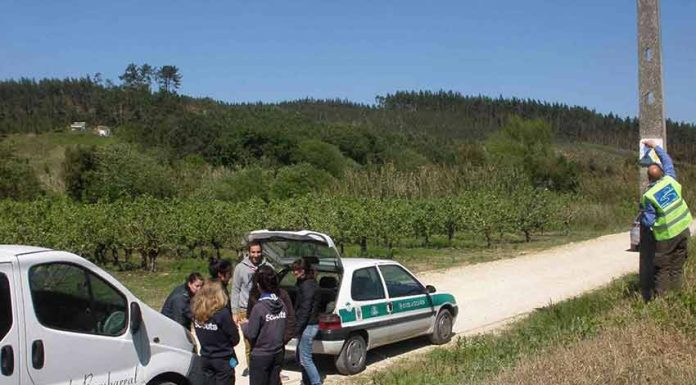 Caminho do Mar já está sinalizado