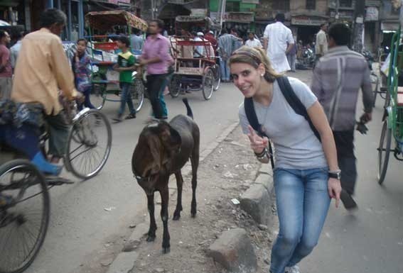 Uma caldense na Embaixada de Portugal na Índia – histórias de um país estranho
