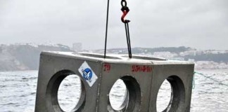 Recifes artificiais na Nazaré já servem de casa aos peixes