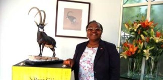 Braz Gil cria colecção de peças destinadas ao mercado angolano