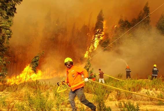 Bombeiros das Caldas da Rainha no combate aos incêndios no Centro do país