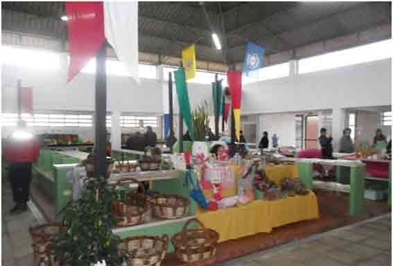 As festas de Sto. Amaro e o ano d’ouro em Alfeizerão