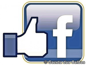 facebook_like_logo_1
