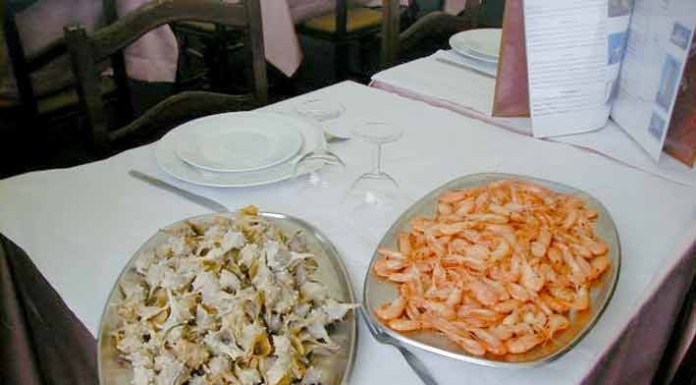 Marisco em destaque na Foz do Arelho