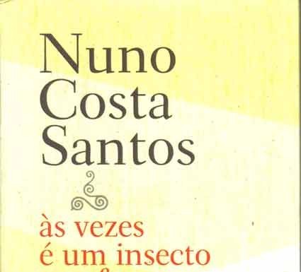«às vezes é um insecto que faz disparar o alarme» de Nuno Costa Santos