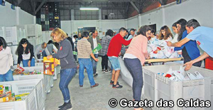 Doações ao banco alimentar desceram 15% relativamente à campanha de Junho de 2013