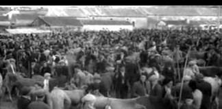 Um filme inesperado sobre as Caldas da Rainha dos anos 40