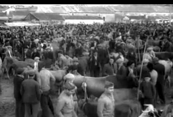 Um filme inesperado sobre as Caldas da Rainha dos anos 40