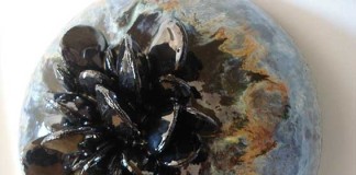 “Litoral” despede-se da colecção da Gazeta das Caldas