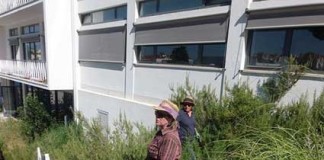 Trabalho voluntário embeleza a Escola Bordalo Pinheiro