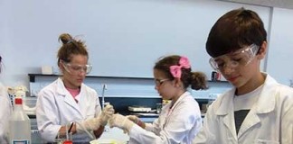 ESCOLA BORDALO PINHEIRO