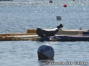 10446244_10201566252872767_3662325429416386215_o