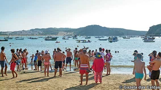 Será que a foca Martinha veio para ficar?