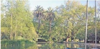 Um Verão sem barcos no lago do Parque?