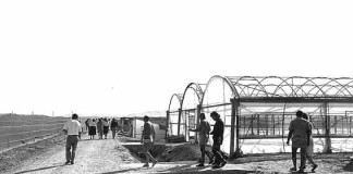 A agricultura e a restauração são os sectores de actividade onde há mais trabalho não declarado