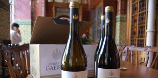 Apresentados novos vinhos de reserva da Casa das Gaeiras