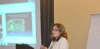 Manuel Mafra foi o ceramista precursor “abafado” pelo mediatismo de Bordalo Pinheiro